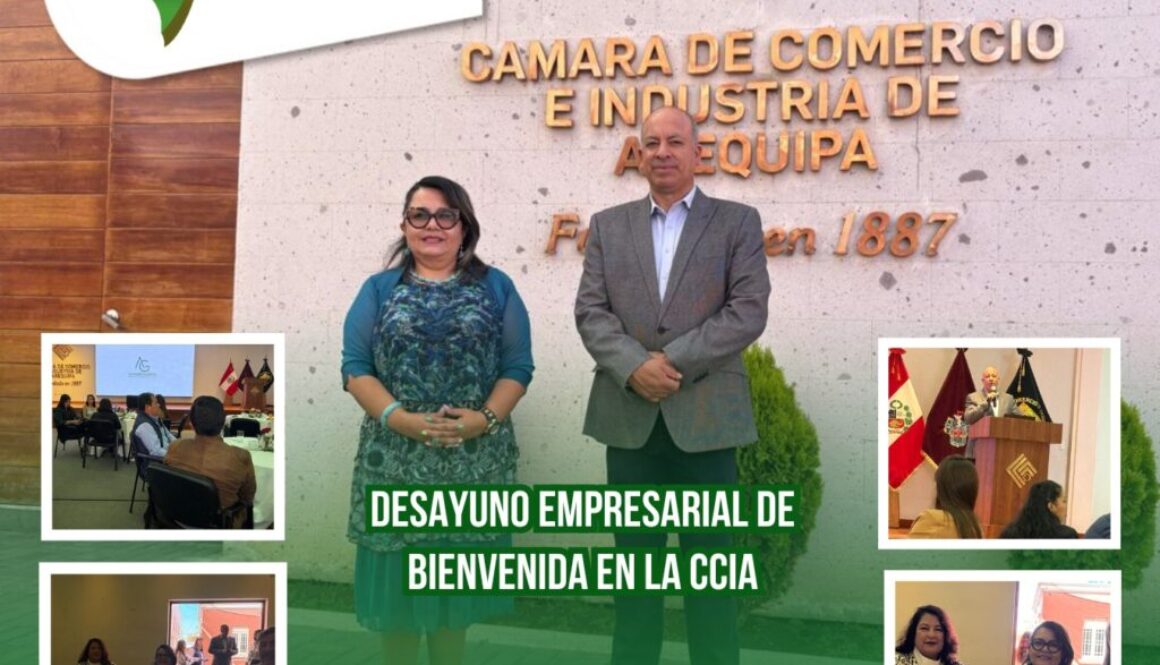 WhatsApp Image 2026-04-17 at 11.31.07 AM